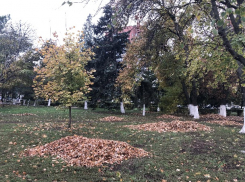 Городской субботник: все шахтинцы - на борьбу с листвой и грязью!