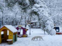 Филиппов день: погода в Шахтах и приметы 