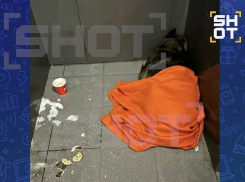 Парк птиц «Малинки» предложил работу уволенному курьеру из пиццерии за спасение собаки от холода