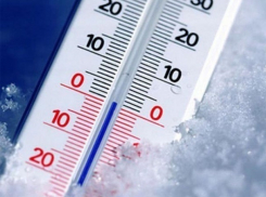  Экстренное предупреждение о заморозках до -1 градуса объявлено в Шахтах