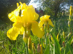 Весь день пасмурно и дождливо будет в субботу по обещаниям синоптиков