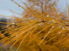 «Осень, прощаясь, плачет»: погода в Шахтах