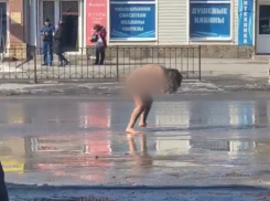 Напала на мужчину, а потом искупалась в луже: ЧП в соседнем с Шахтами Таганроге