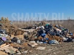 Кладбище под Шахтами превратилось в свалку