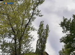 Еще похолодает, но ветер стихнет