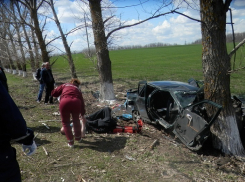 В Шахтах «десятка» врезалась в дерево - два человека госпитализированы