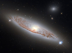 Тельцы, решения стоит принимать быстро и уверенно: астропрогноз для всех знаков зодиака