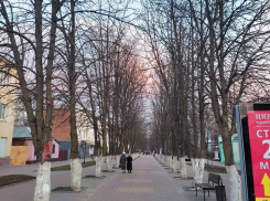 Зарядит дождик и похолодает