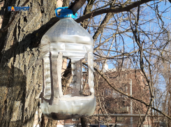 Дождя может и не будет, но пятница выдастся пасмурной