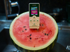 В Шахтах ветеринары забраковали 9 партий арбузов и дынь 