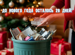 До Нового года осталось 28 дней
