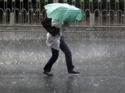 Вот такое ... дождливое лето