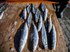 Продавщица рыбы из Шахт получила год колонии за попытку дать взятку в 5 000 рублей