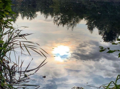 Интуиция на пределе: лунный календарь поможет шахтинцам провести этот день