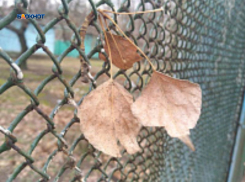 Будет пасмурно, но без осадков, обещают синоптики