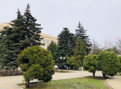 Б-р-р-р, морозно: погода в Шахтах и народный календарь 