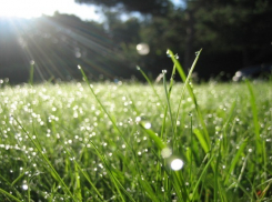  «Добрый день с белыми росами и вареньем»: народные приметы, погода в Шахтах и немного астрономии