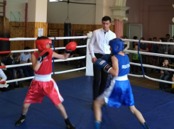 В первенстве города Шахты по боксу участвовало 138 спортсменов