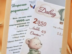 Тысячного малыша зарегистрировали в Шахтах