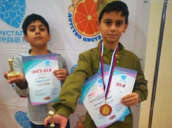 Братья из Шахт стали лауреатами международного конкурса «Хрустальное сердце мира».