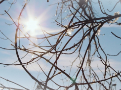 «Если весна разгульна, то обманет»: погода в Шахтах и приметы