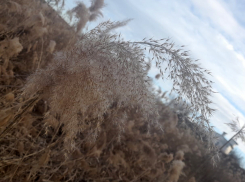 И не зима, и не весна: погода вступила в переходный период