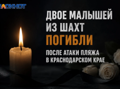 Двое малышей из Шахт погибли в результате атаки БПЛА в Краснодарском крае