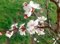 Дождь прекратится только к полудню