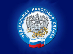 Порядок заполнения деклараций, интернет-сервисы: с шахтинцами поговорят о  налогах