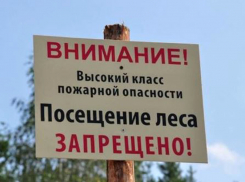 Вокруг массивов провели обновление противопожарных полос: сотрудники МЧС предупреждают шахтинцев
