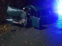 Водитель влетел в дерево и погиб на месте