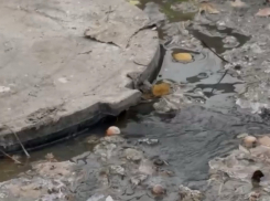 Дети ходят в садик через реки канализационных сбросов в Шахтах