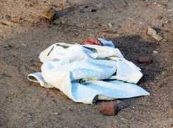 На трассе М-4 обнаружен выброшенный младенец