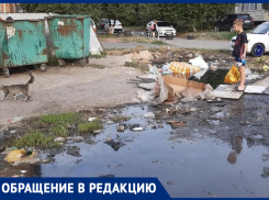 Ребёнок принёс мусор на площадку для сбора ТКО и не знает, как подойти к бакам: Ирина Калитвенцева 