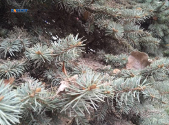 Ожидается дождь со снегом