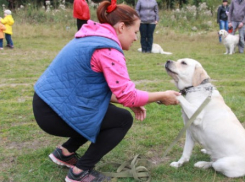 День ухода за животными: погода в Шахтах и примета дня