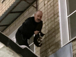 Мужчина и прохожая молодежь не остались равнодушными к судьбе котенка, попавшего в беду