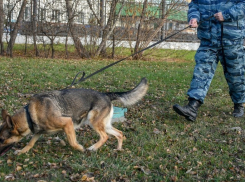 В Шахтах вор попался в руки полиции, «замывая» следы преступления женскими духами