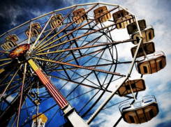 Раки, не теряйте времени, берите дела в свои руки и действуйте