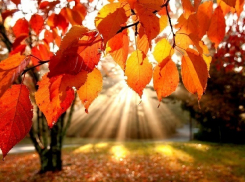 Вторник порадует шахтинцев последним погожим днём перед затяжным ненастьем 