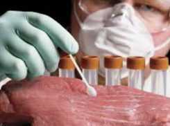 Ветеринарные лаборатории Шахт прошли проверку