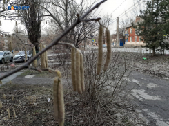 Снег прекратится, будет солнечно, но относительно прохладно