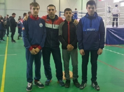 Бронзовыми призерами стали шахтинские боксеры на первенстве ЮФО