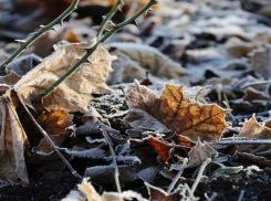 Новогодняя погода в Шахтах и примета дня 