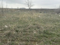 Шахтинец ликвидировал свалку, которую сам и устроил