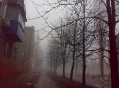 После теплого понедельника в Шахтах ударят морозы