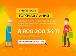 Волонтеры снова готовы доставлять пожилым лекарства и продукты