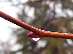 Будет тепло и солнечно, обещают синоптики
