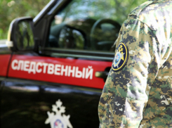 Два года мужчина насиловал маленькую девочку в Красном Сулине