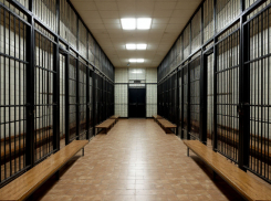 В Шахтах уменьшилось количество тяжких преступлений, но возросло число краж